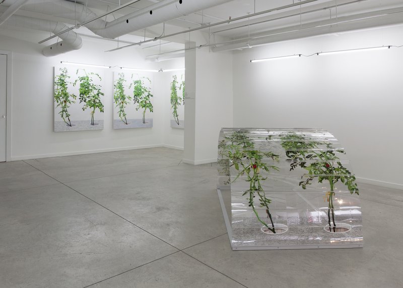 Alex Fischer, 1 7 and 6000 O'Born Contemporary 55 1 7 and 6000 documentation, 2015