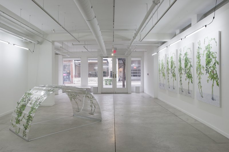 Alex Fischer, 1 7 and 6000 O'Born Contemporary 56 1 7 and 6000 documentation, 2015