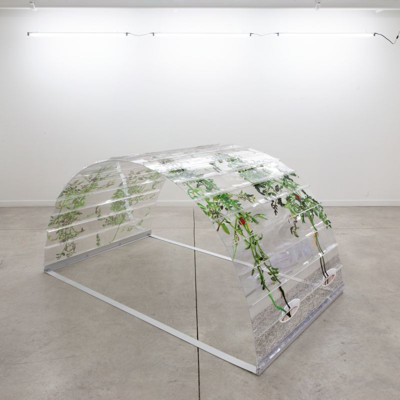 Installation view, 1 7 and 6000, 20150201