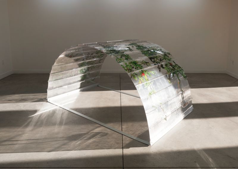 Installation view, 1 7 and 6000, 20150201
