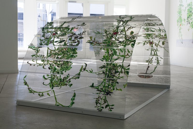 Alex Fischer, VII 6000 Arch mockup 05, 2015