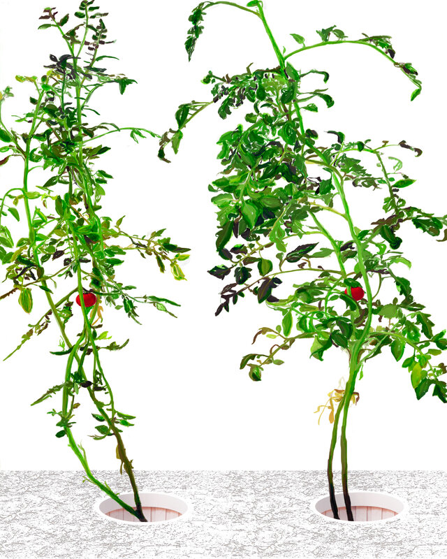 Alex Fischer, VII 6000, 2015