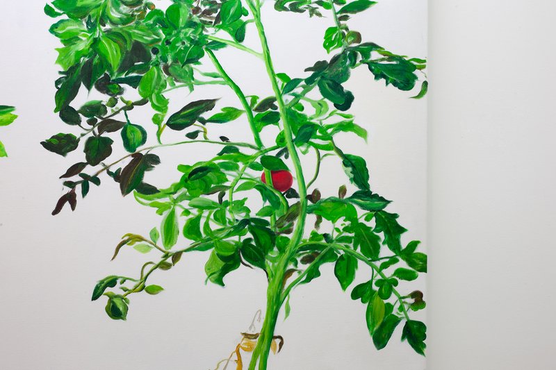 Alex Fischer, Vii 冯声贵 Feng Shui Gui detail 01, 2015