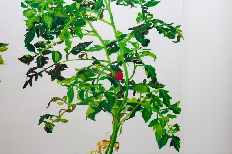 Alex Fischer, Vii 叶安 Ye an detail 01, 2015