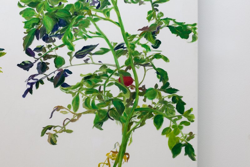 Alex Fischer, Vii 林建 Lin Jian detail 01, 2015