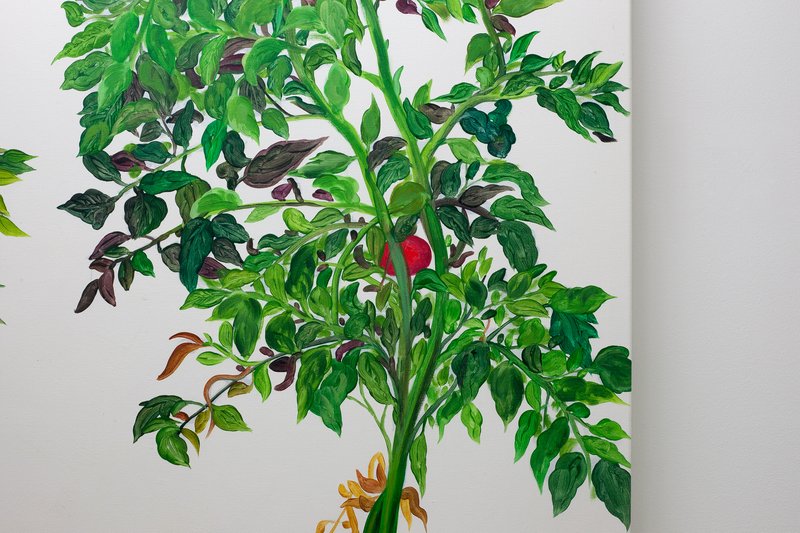 Alex Fischer, Vii 陈山 Chen Shan detail 01, 2015