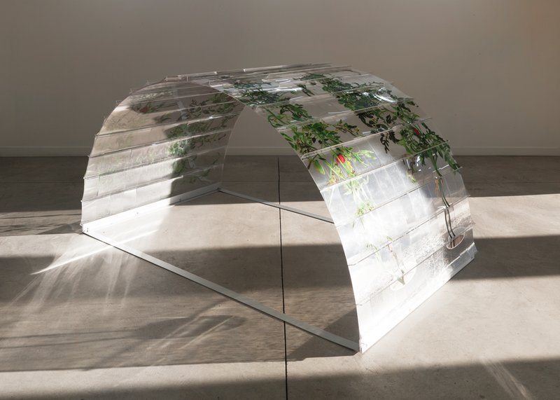 Alex Fischer, Vii 6000 Arch 15crop original 01, 2015