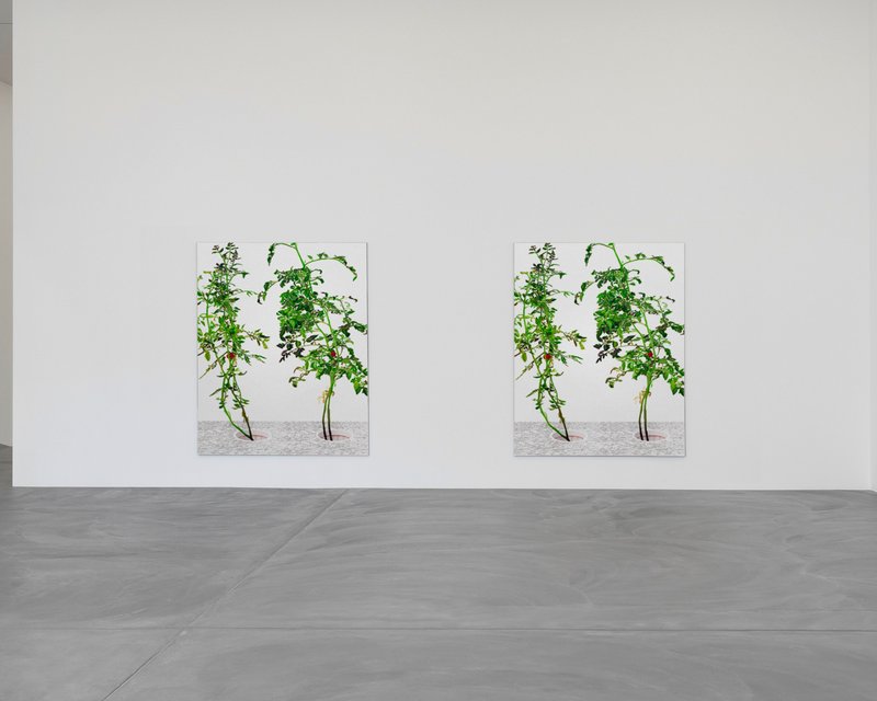 Alex Fischer, 176000 mockup 09, 2015