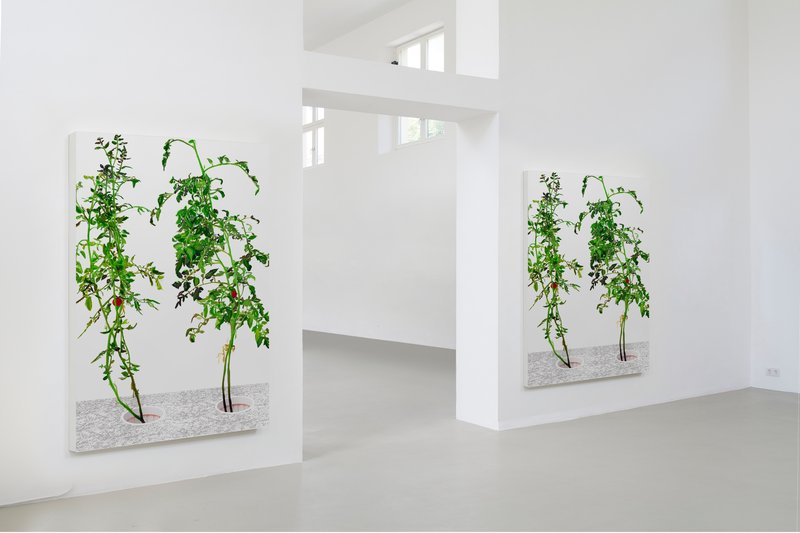 Alex Fischer, 176000 mockup 10, 2015