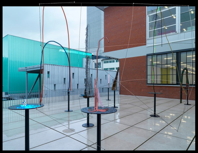 Alex Fischer, Img 6034, 2015