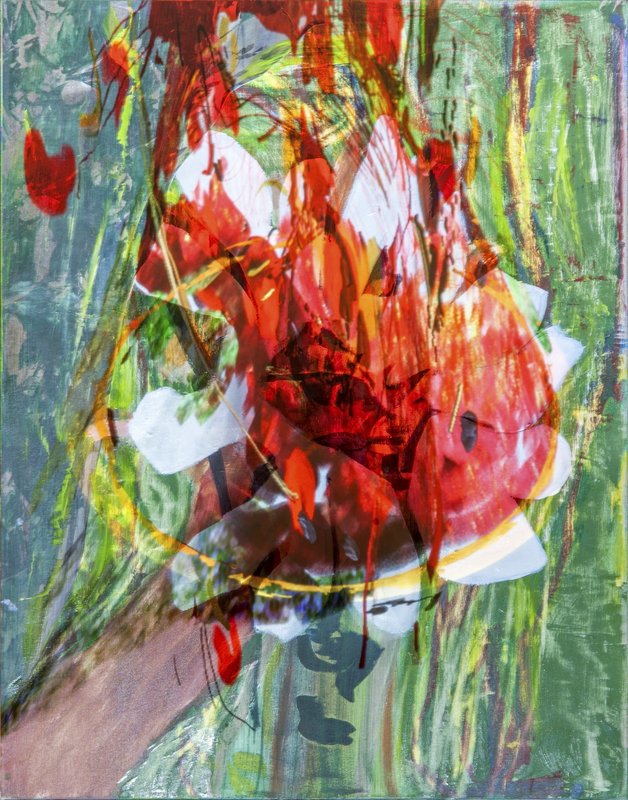 Alex Fischer, Quick Rise Pizza Flower, 2016