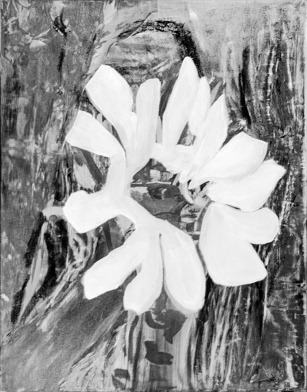 Alex Fischer, Super Seed B&amp;amp;wblue, 2016