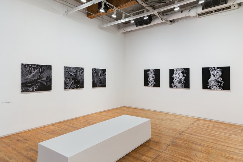 Alex Fischer, Trace Copy Render Circuit Gallery 17 documentation, 2016
