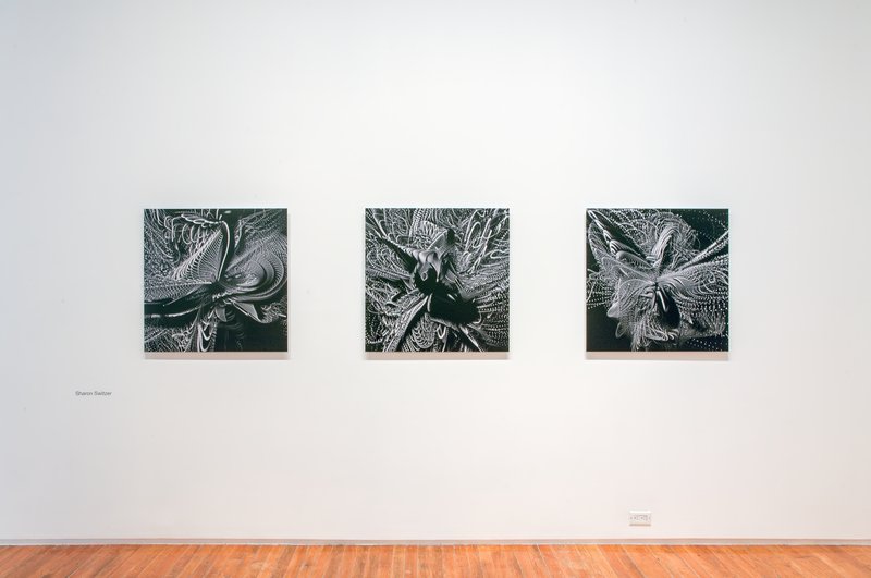 Alex Fischer, Trace Copy Render Circuit Gallery 18 documentation, 2016