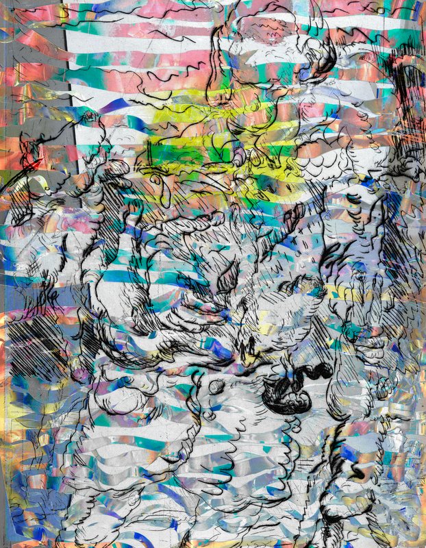 Chameleon Pro, 2017, 9 × 7 × 0.2 in, matte giclée print