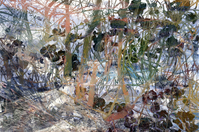 Bramble Walker, 2017, 28 × 42 × 0.01 in, matte giclée print