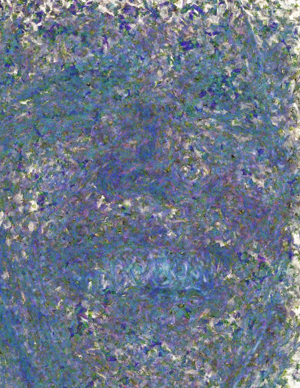 Hussein, 2017, 44 × 34 in, matte giclée print