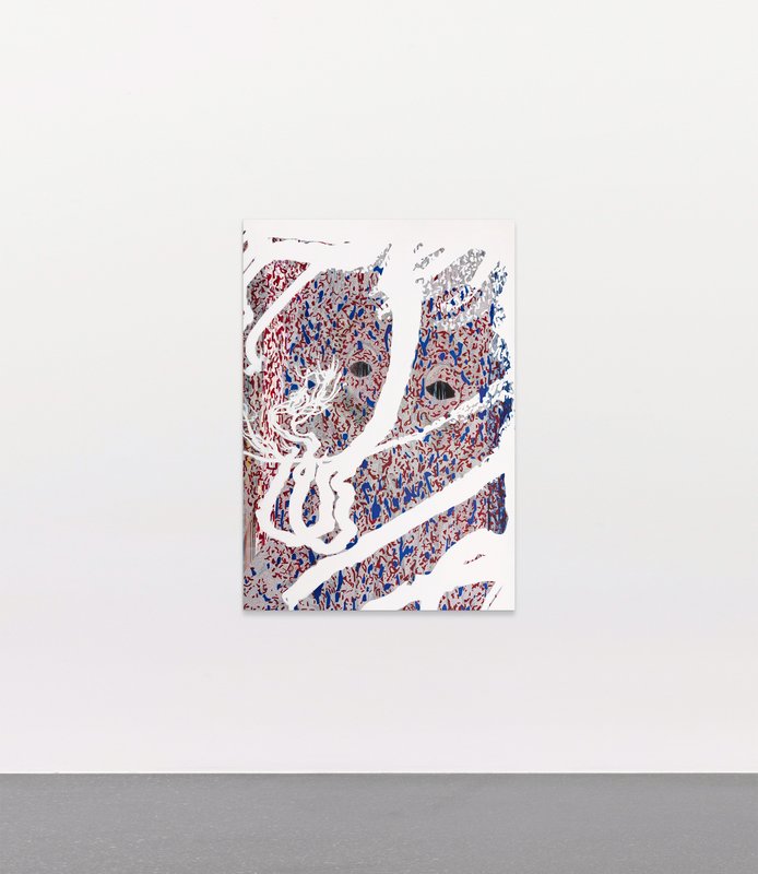 Alex Fischer, Starnose mockup 02, 2017