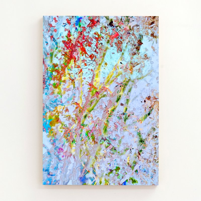 Corel Bleaching (alternate), 2018, 35.98 × 24.02 × 0.01 in, matte print