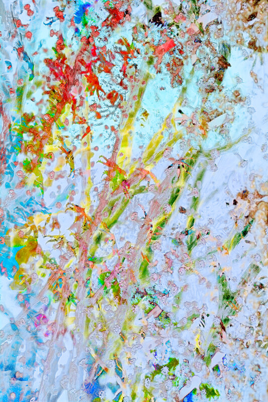 Alex Fischer, Corel Bleaching, 2017