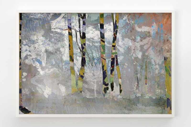 Derain Forest (alternate), 2018, 24.02 × 35.98 in, matte giclée print