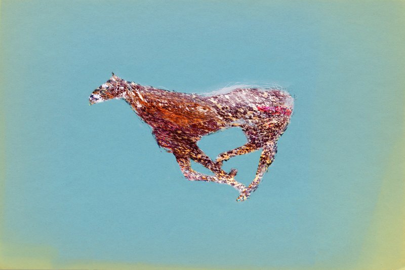 Alex Fischer, Horse Misunderstanding, 2018