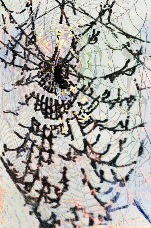 Dark Web, 2018, 50 × 33 in, matte giclée print