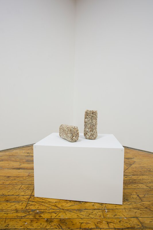 Alex Fischer, Bending Towards the Sun YYZ 11 documentation, 2019