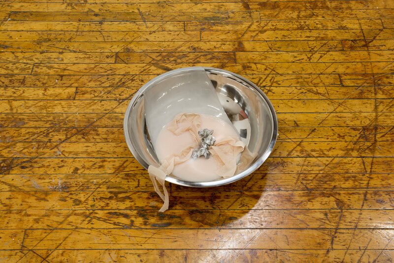 Alex Fischer, Bending Towards the Sun YYZ 12 documentation, 2019