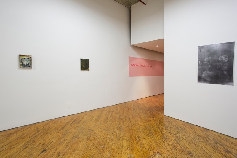 Alex Fischer, Bending Towards the Sun YYZ 15 documentation, 2019