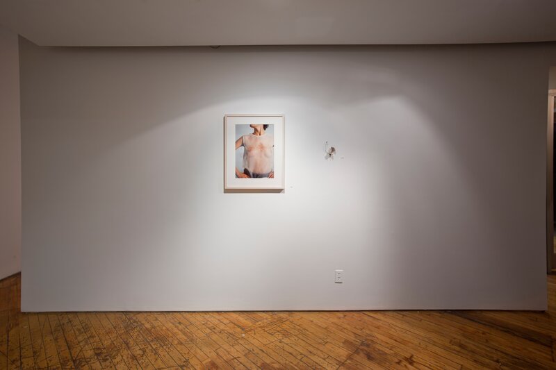 Alex Fischer, Bending Towards the Sun YYZ 19 documentation, 2019