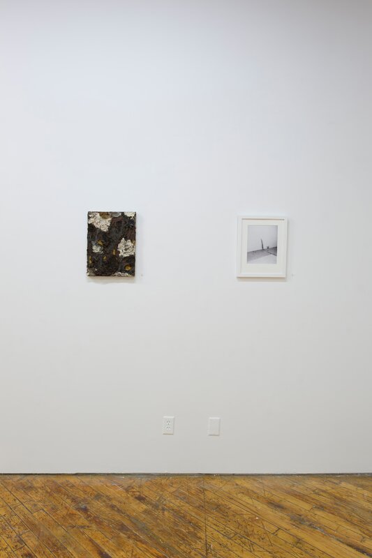 Alex Fischer, Bending Towards the Sun YYZ 26 documentation, 2019