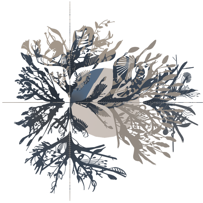 Alex Fischer, Story-Tree 3d above, 2020