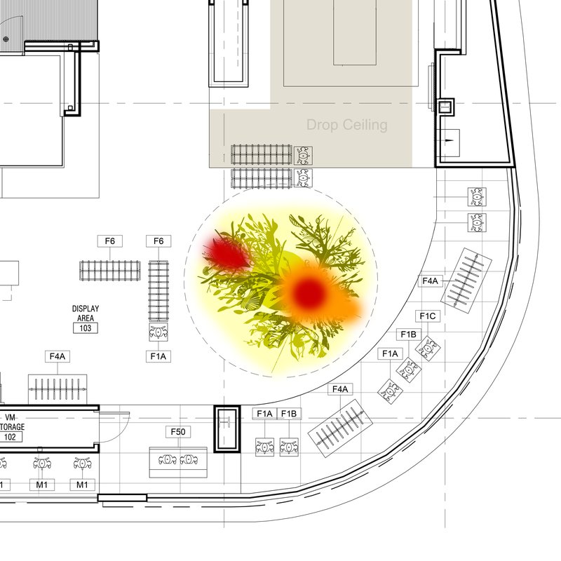 Alex Fischer, Story Tree location height map, 2020
