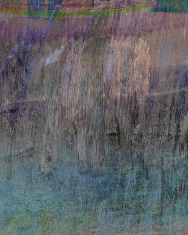 Alex Fischer, Elephant in the Rain, 2020