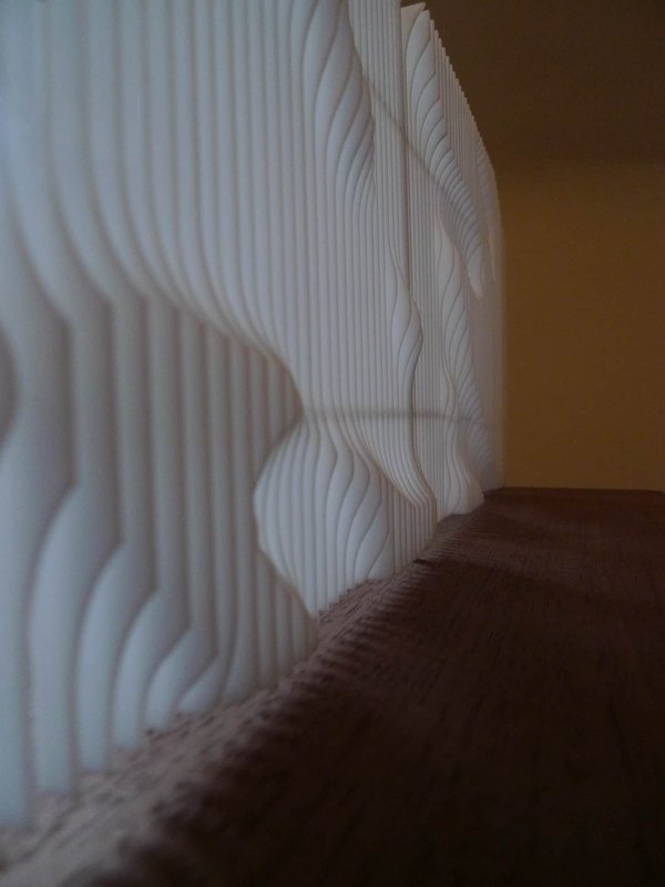 Alex Fischer, 2021 07 Polymetis In Situ planning 8, 2021