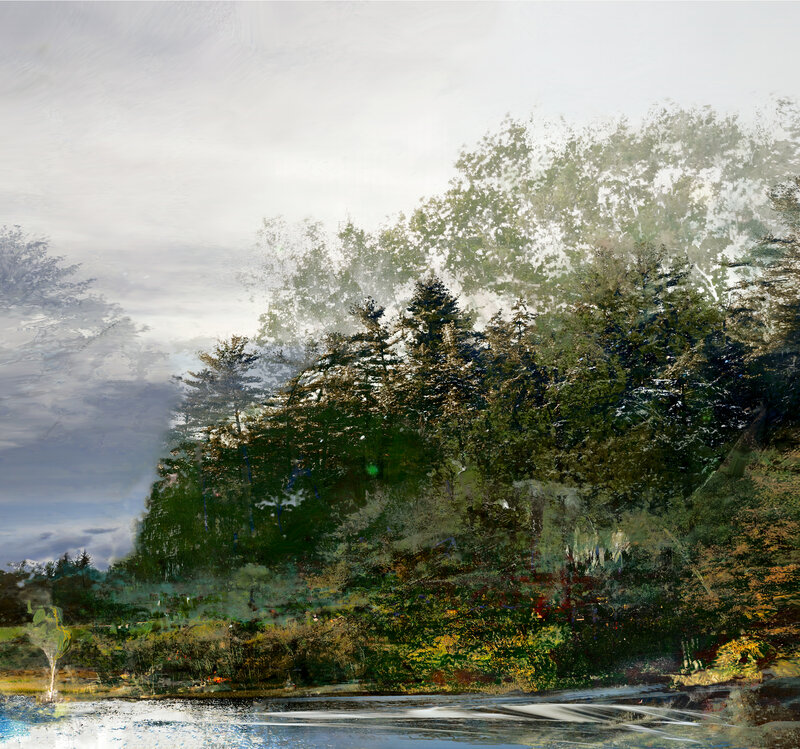 Day Forest 118x126, 2021, digital image