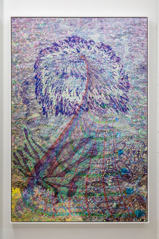 Alex Fischer, Casting a Wide Net, 20180515
