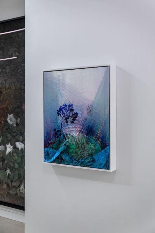 Alex Fischer, Pale Rhythm, 2022