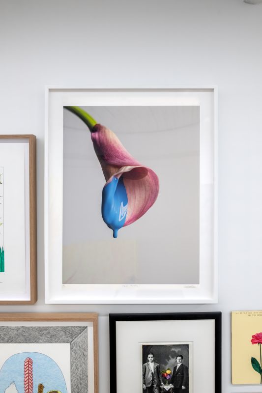 Nelson Henricks, Flower Painting 1, 2016
