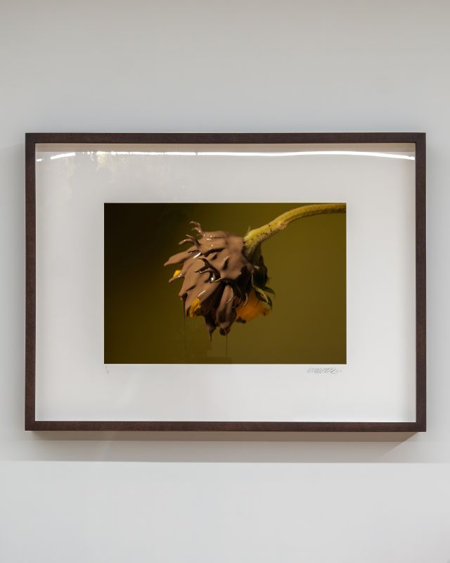 Nelson Henricks, Flower Painting 1, 2016