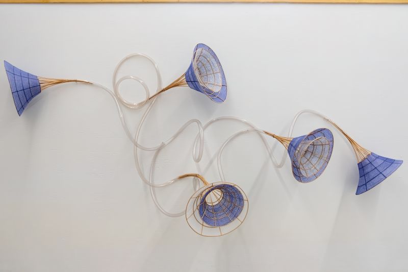 Xiaojing Yan, Morning Glory, 2016–2018