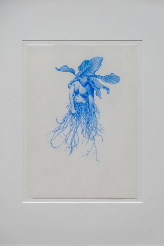 Zachari Logan, Untitled (from Enigmas Series), 2017
