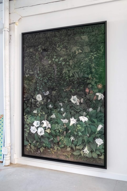 Giving Entry NAMARA projects 06 Datura artwork, 2022, 91 × 59 in, pastel on paper