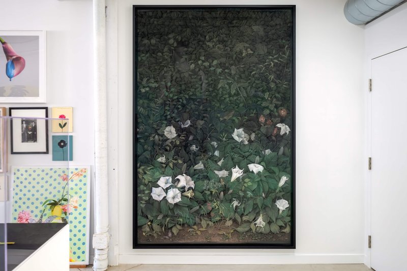 Alex Fischer, Giving Entry NAMARA projects 07 Datura artwork, 2022