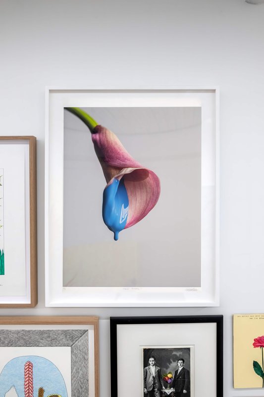 Alex Fischer, Giving Entry NAMARA projects 34 Flower Painting 1 artwork, 2022