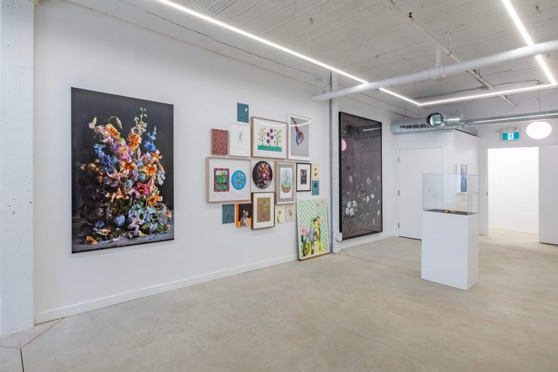 Alex Fischer, Giving Entry NAMARA projects 35 Datura +Salon Wall +Leong Untitled documentation, 2022