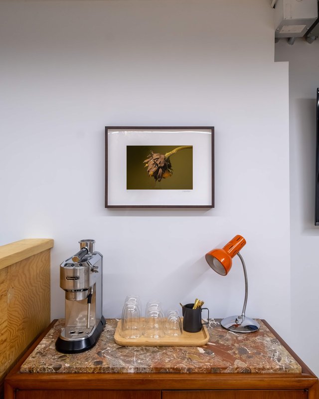 Alex Fischer, Giving Entry NAMARA projects 46 Flower Painting 1 artwork, 2022