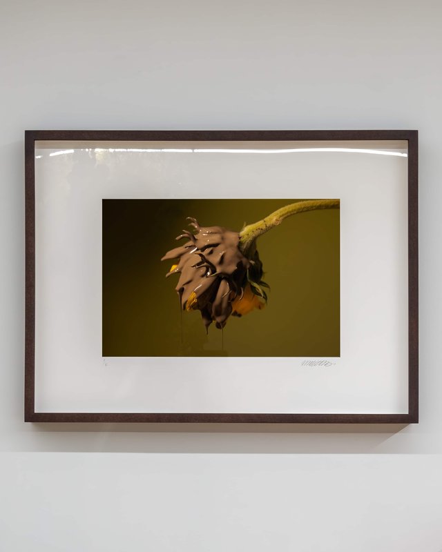 Alex Fischer, Giving Entry NAMARA projects 47 Flower Painting 1 artwork, 2022