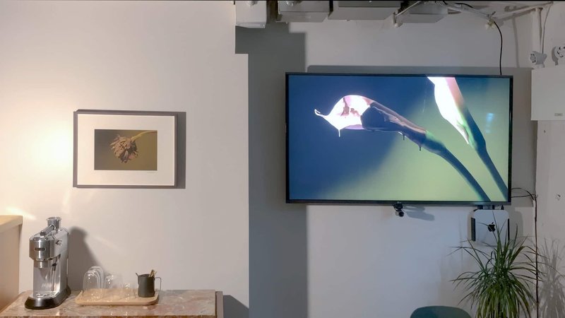 Alex Fischer, Giving Entry NAMARA projects 48 Flower Painting 1 detail, 2022